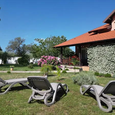 Tinov Dvor * Brisevo